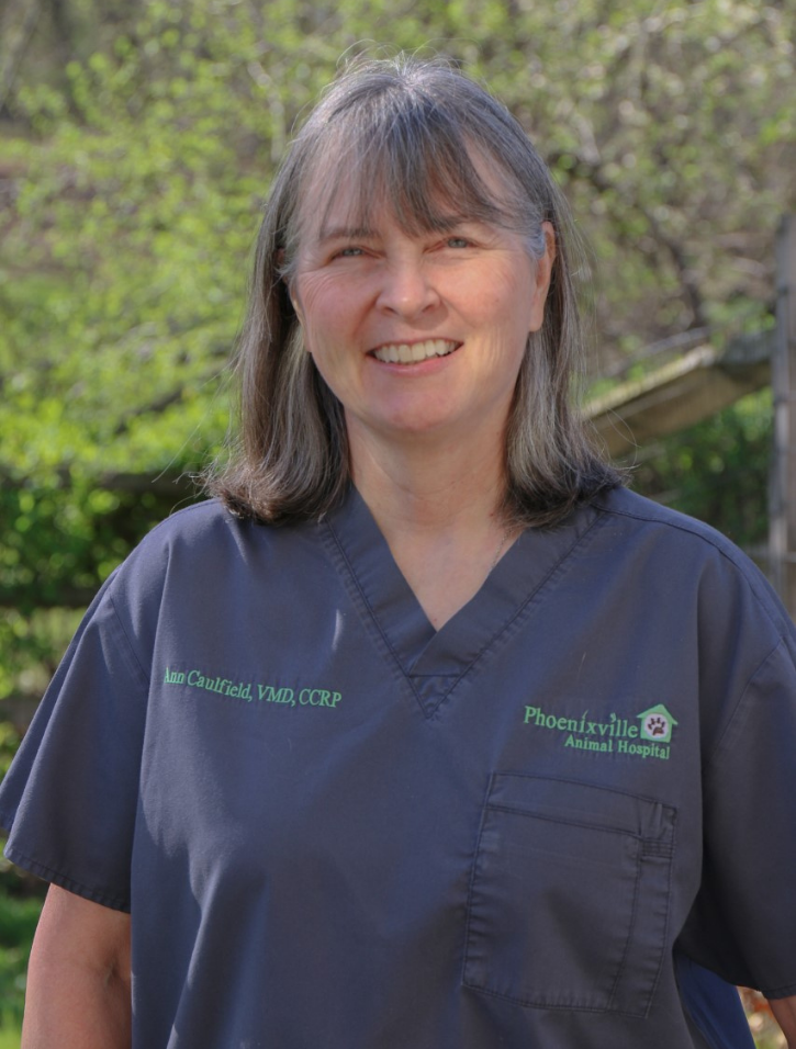 Dr. Caulfield Dr. Caulfield